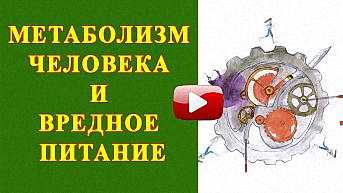 Метаболизм человека