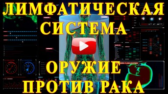 Лимфатическая система - лекарство против рака
