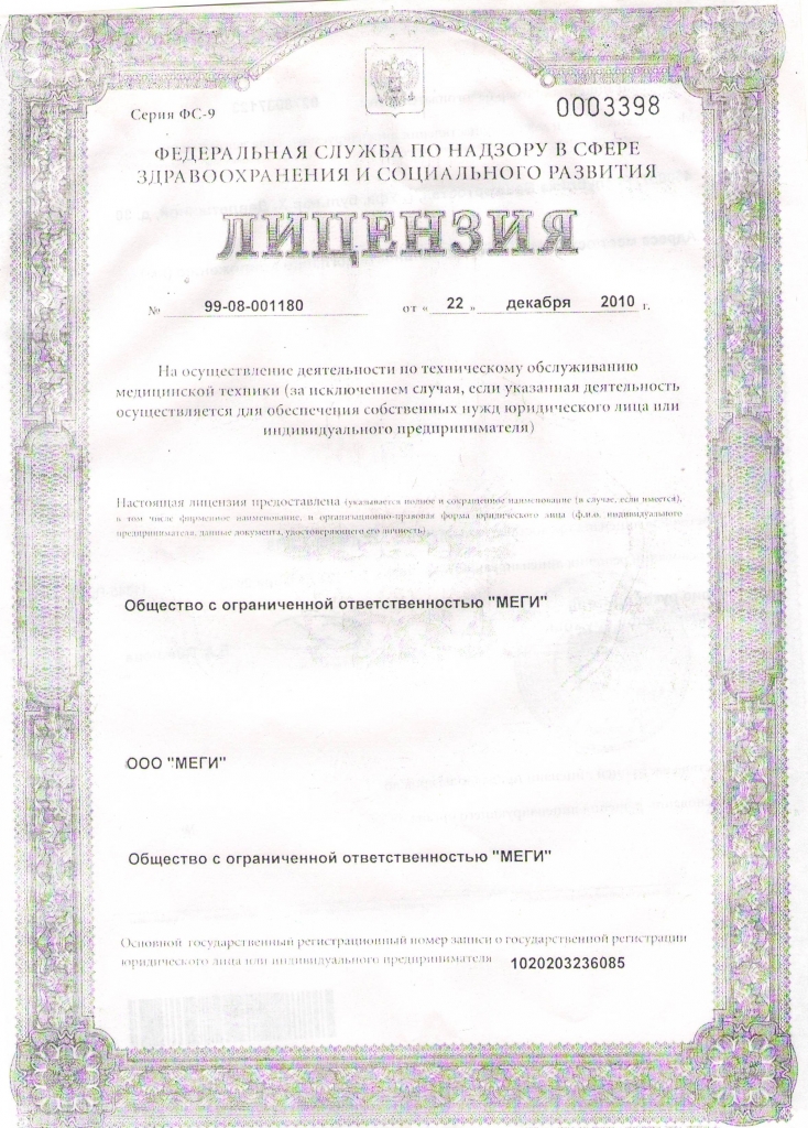 Лицензия МЕГИ (1).JPG