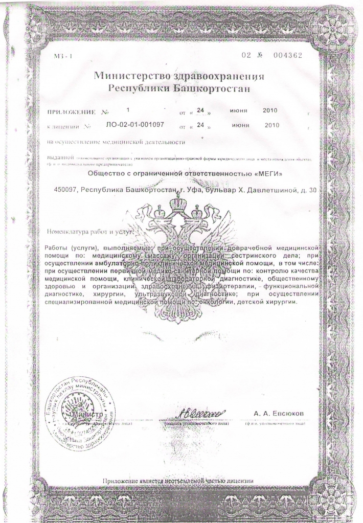 Лицензия МЕГИ (3).JPG