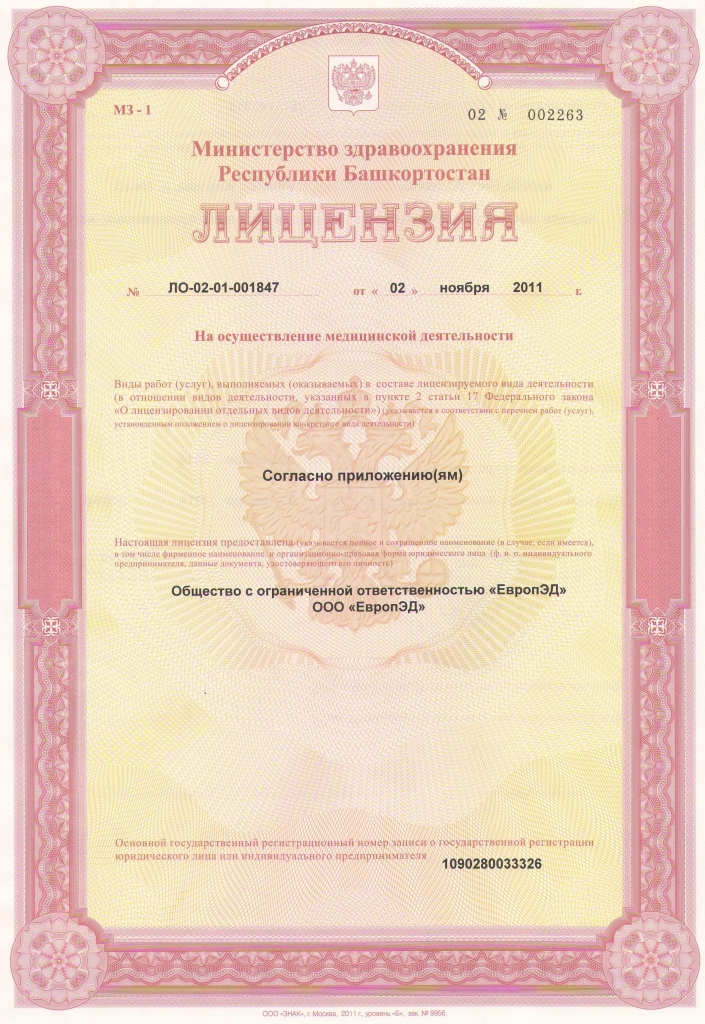 Лицензия  (1).JPG